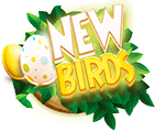 New Birds (Новые Птички) - обзор игры без баллов с заработком денег на яйцах птичек